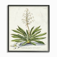 Студената индустрија ботаничка илустрација на растенија Фернс Гроздобер Дизајн Рамнуван wallидна уметност од Непознато, 11 14