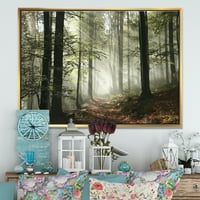DesignArt 'Светлина во густа есенска шума со магла' пејзаж уметнички печати врамени платно
