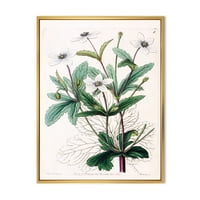Дизајнрт „Антички растителен живот xxi“ Традиционално врамено платно wallидно уметност печатење