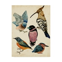 Трговска марка ликовна уметност „Колекција на птици I“ платно уметност од Мелиса Ванг
