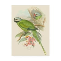 Трговска марка ликовна уметност „Мали птици на тропски предели II“ платно уметност од Johnон Гулд